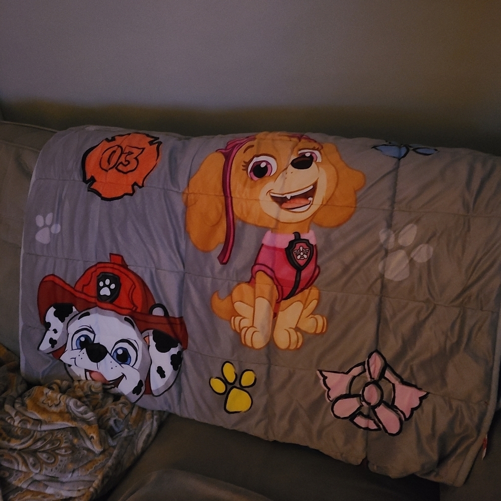 Paw Patrol weighted blanket - Picture 4 of 16